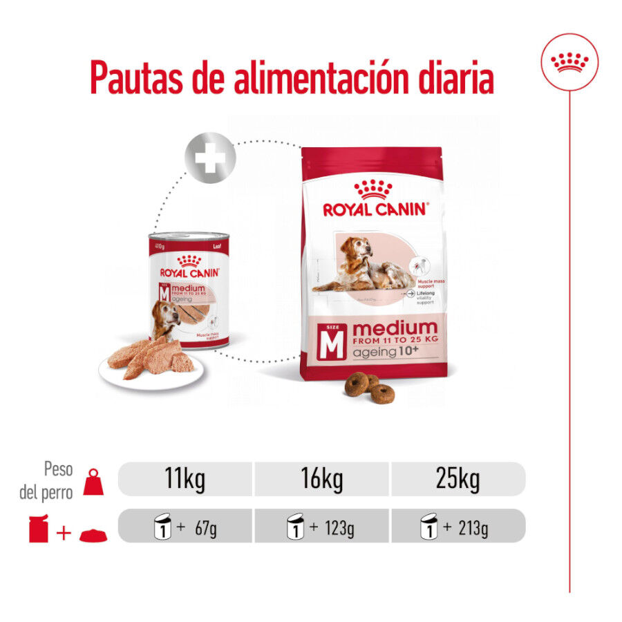 Royal Canin Medium 7+ Ageing lata para cães, , large image number null